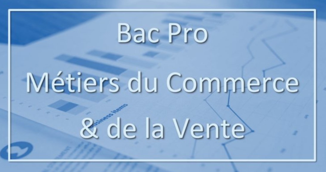 bac pro commerce